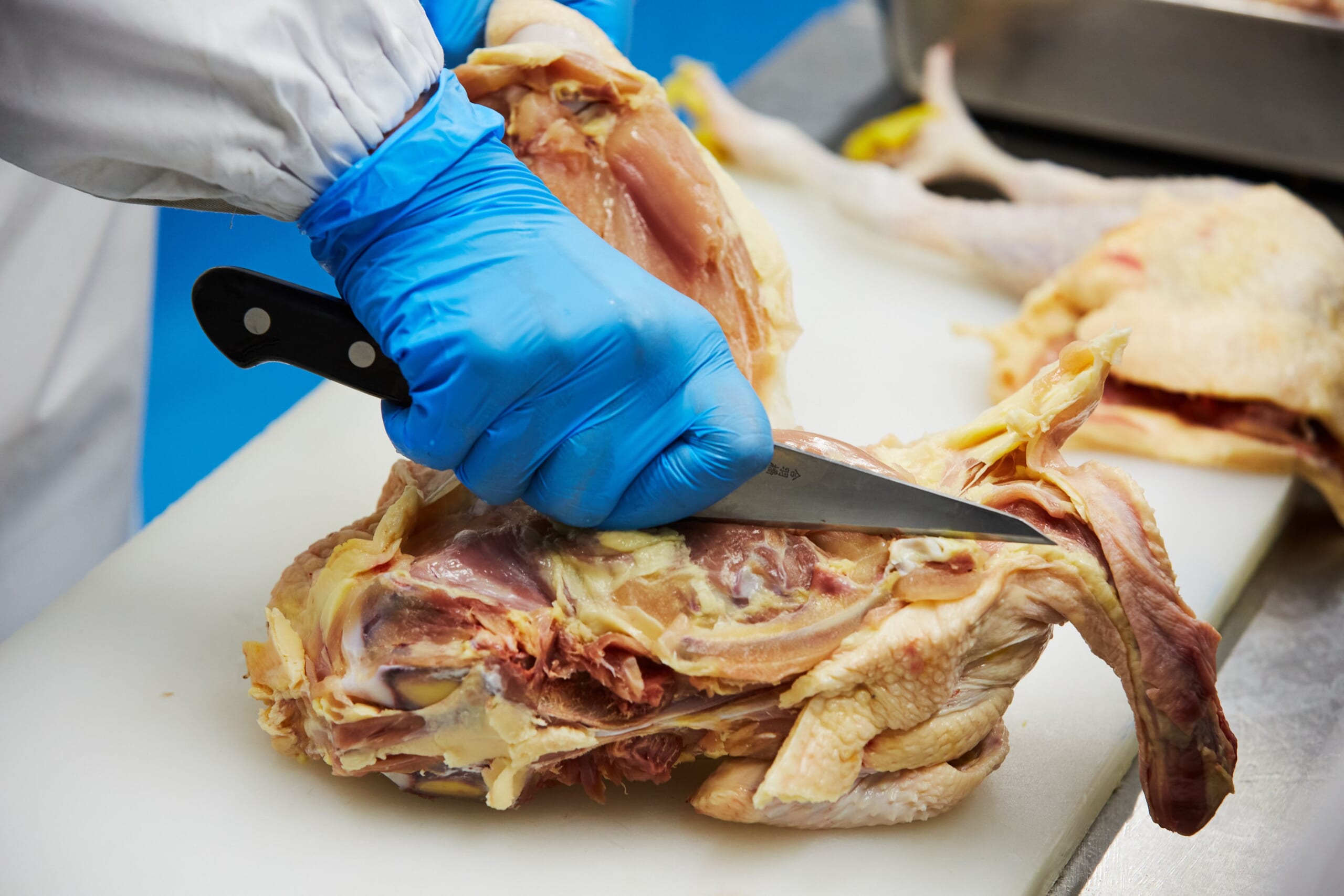 とりすえ工場内の写真