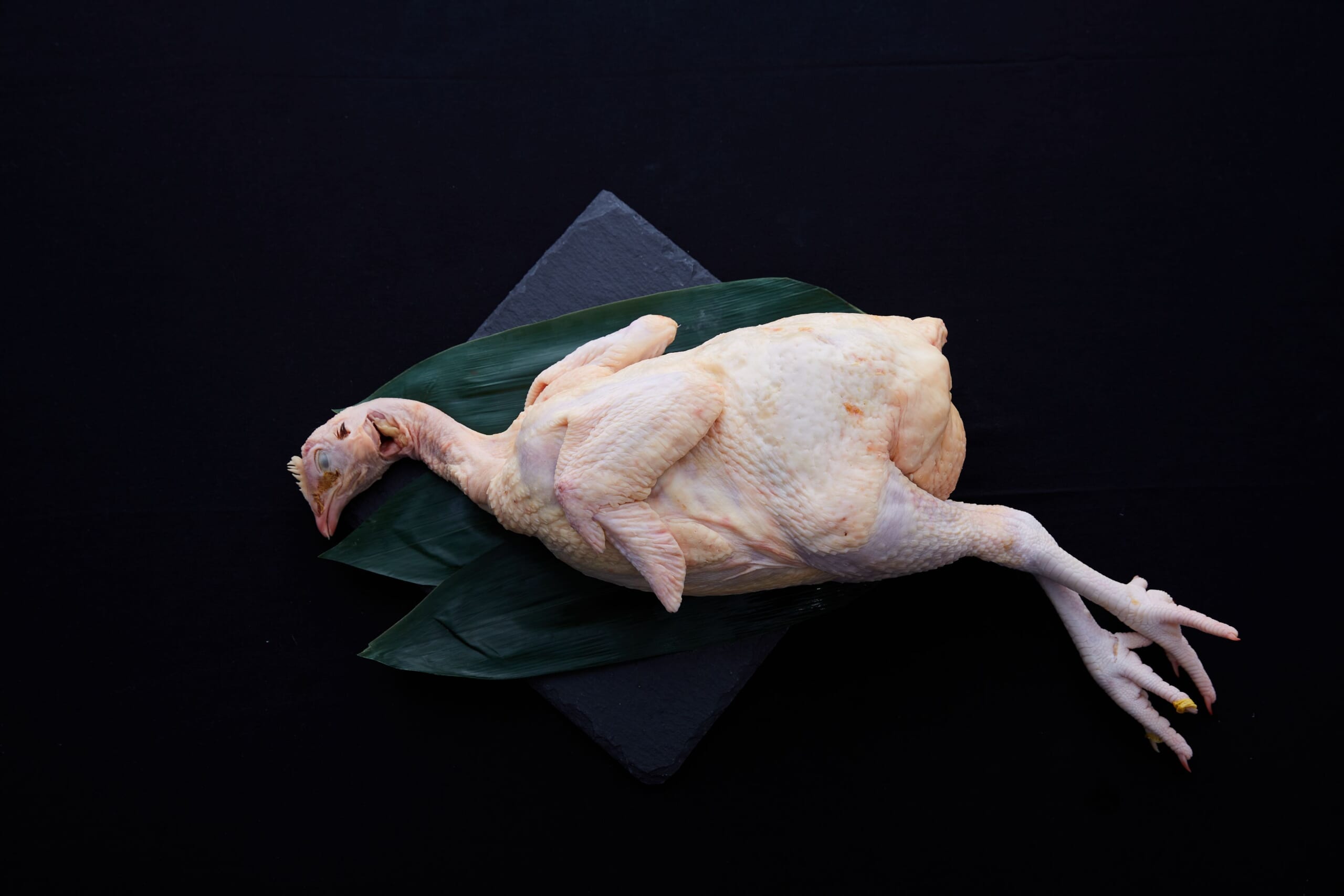 とりすえ工場内の写真