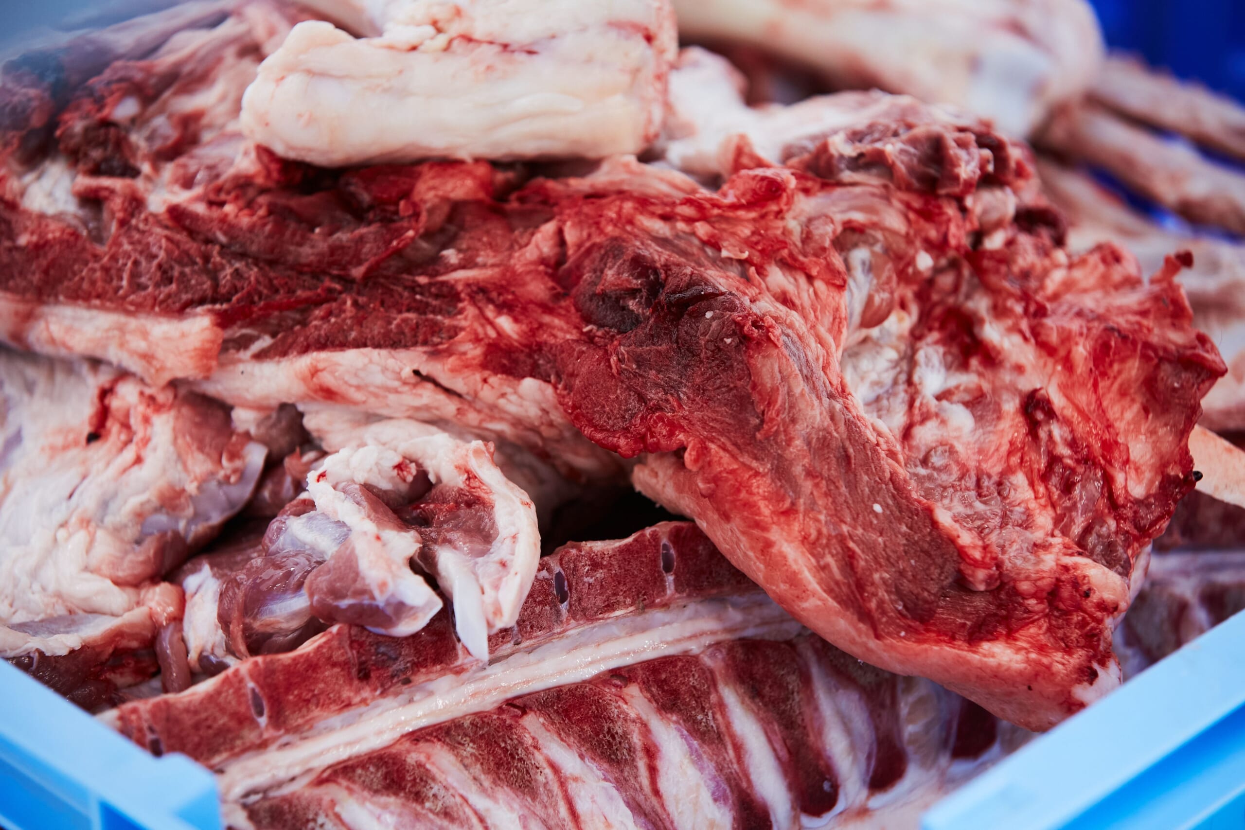 とりすえ工場内の写真